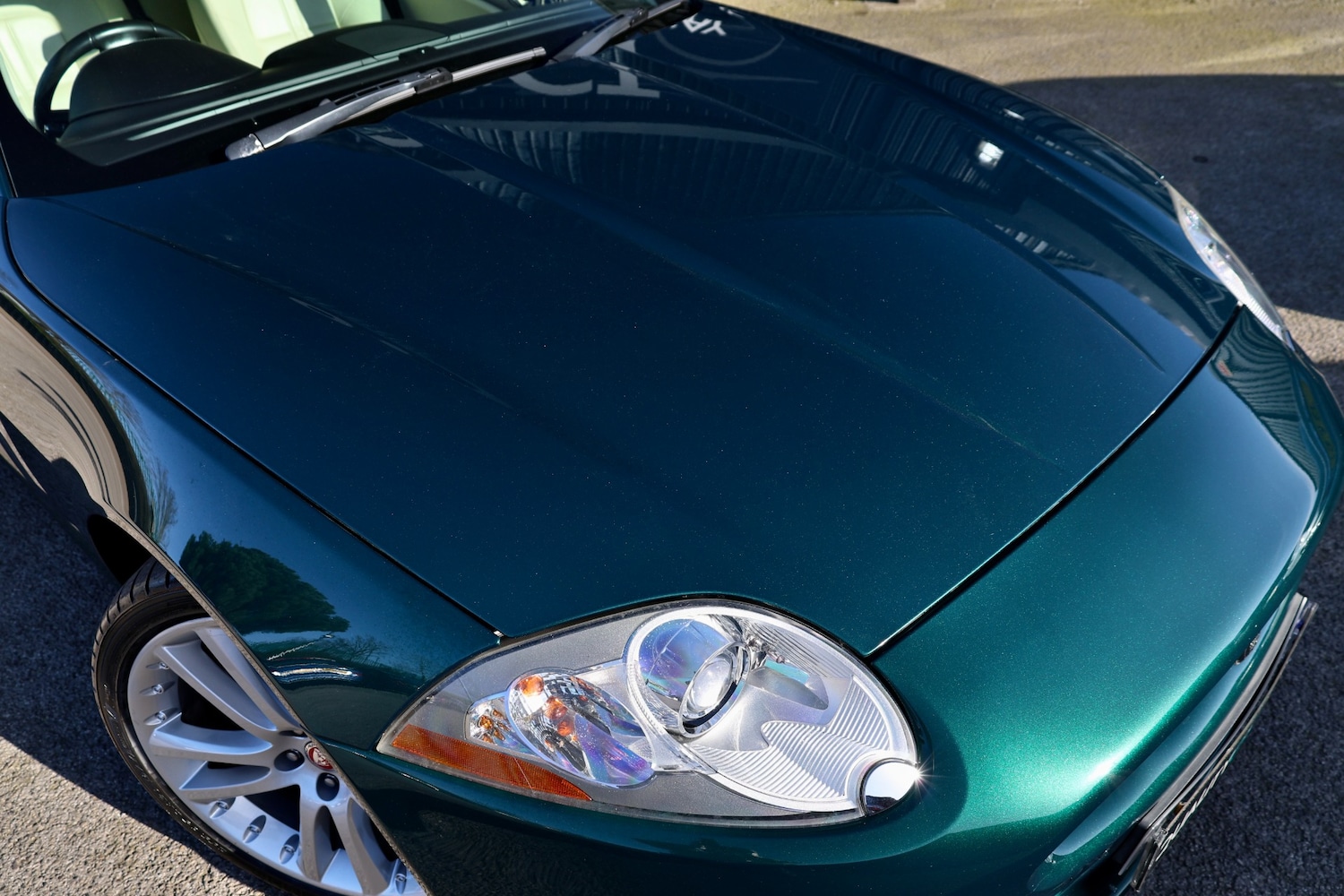 Used Jaguar XK 2008 for sale - 77741362: Photo 8