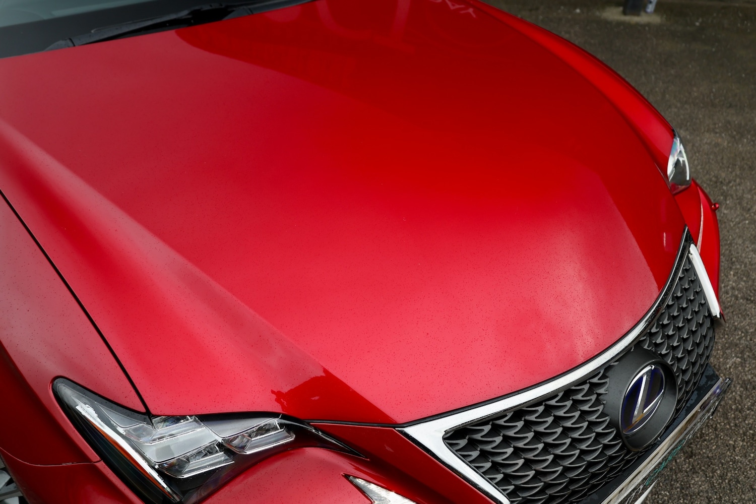 Used Lexus RC 2016 for sale - 77000365: Photo 14