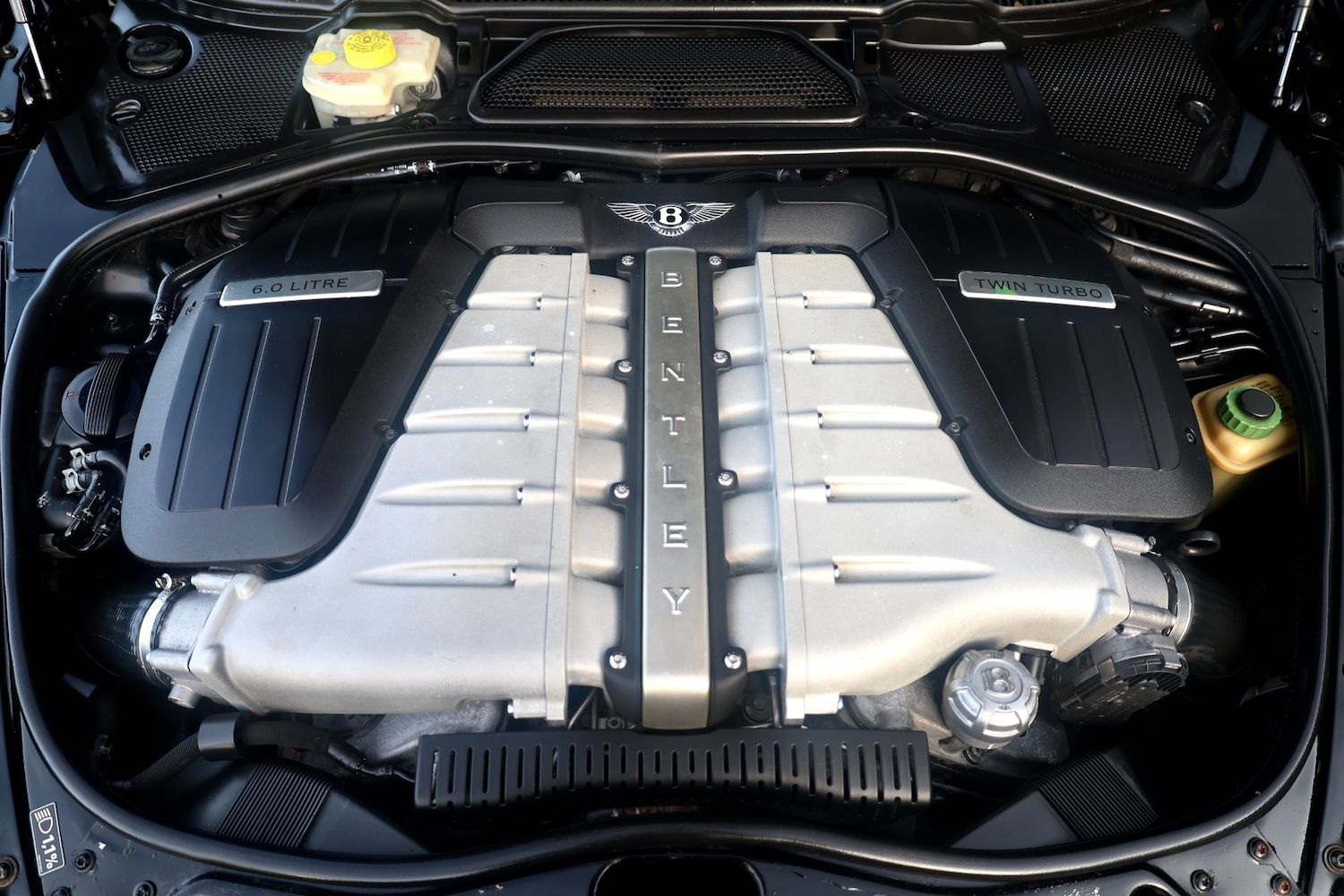 Used Bentley Continental 2004 for sale - 76956876: Photo 19