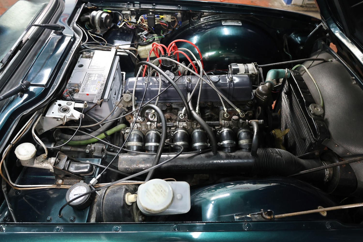 Used Triumph TR6 1971 for sale - 76576457: Photo 11