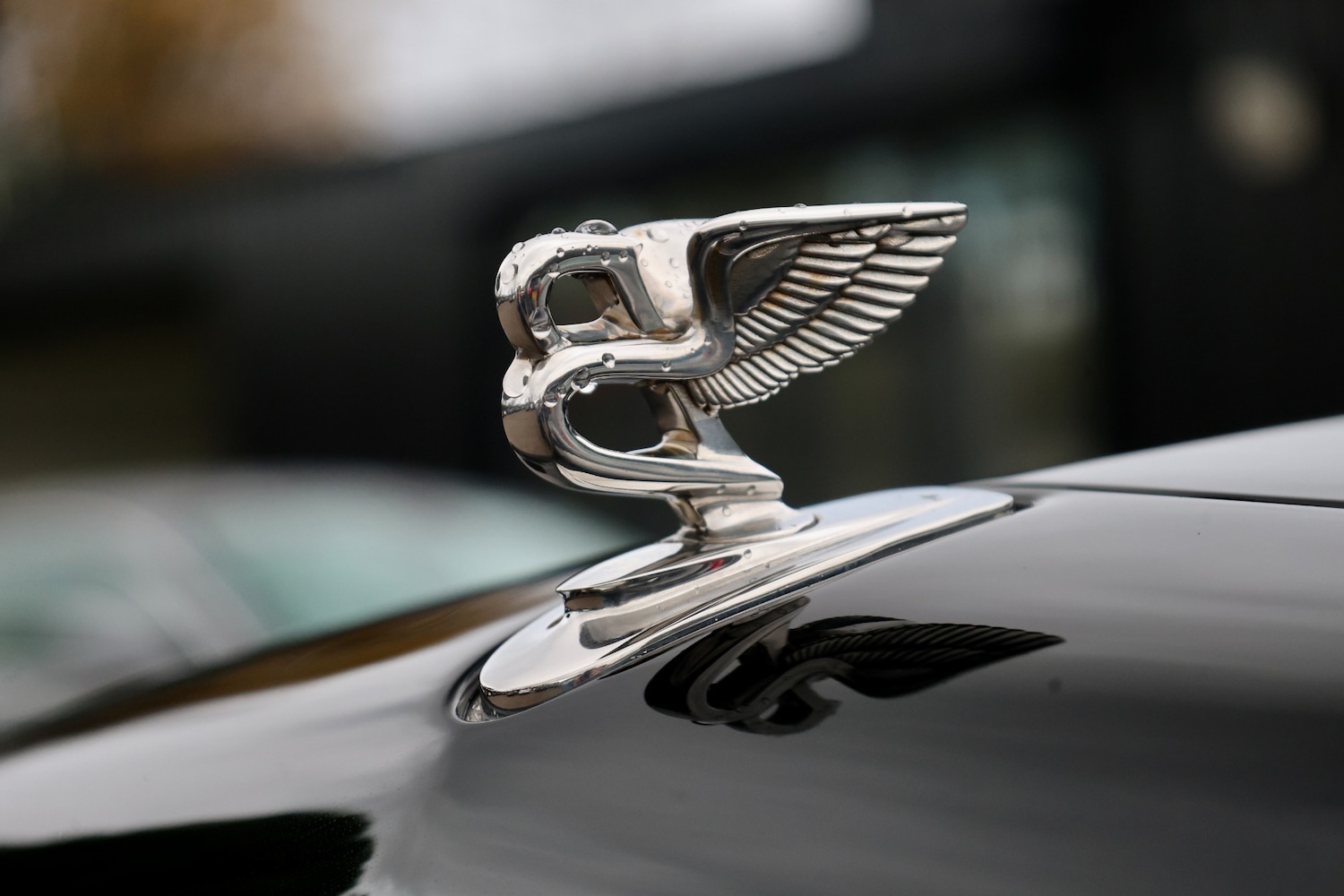 Used Bentley Arnage 2010 for sale - 77068910: Photo 9