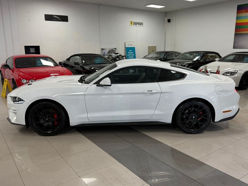 Used Ford Mustang 2019 for sale - 77263876: Photo 14