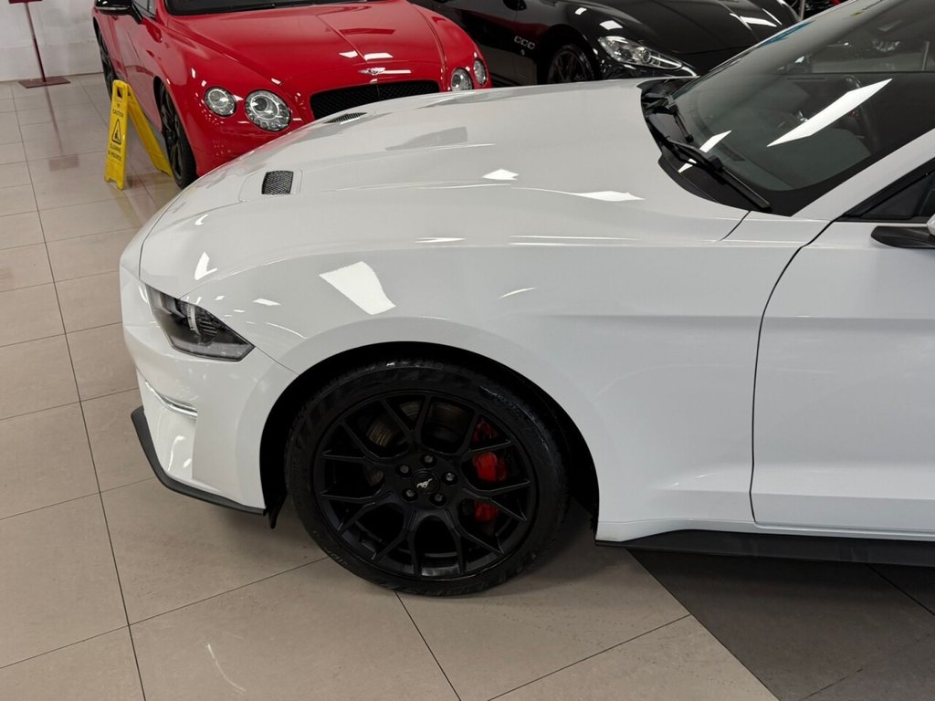 Used Ford Mustang 2019 for sale - 77263876: Photo 16