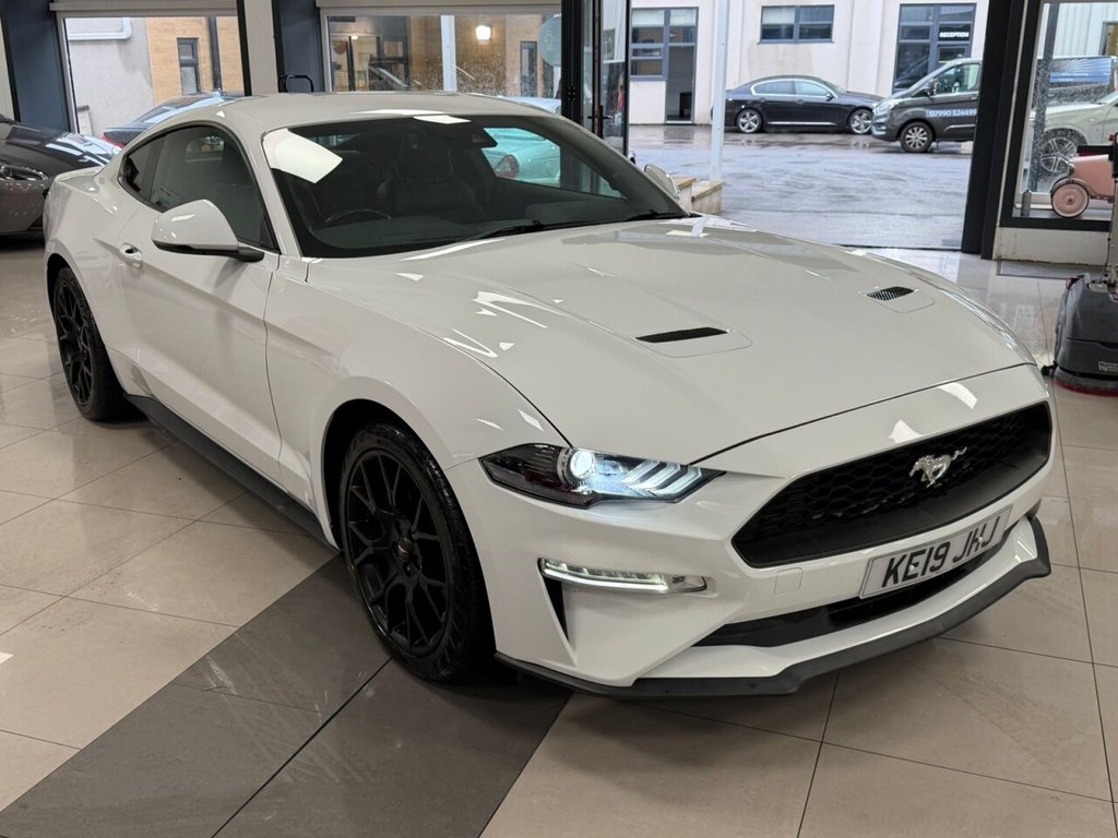Used Ford Mustang 2019 for sale - 77263876: Photo 23