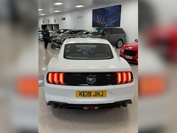 Used Ford Mustang 2019 for sale - 77263876: Photo