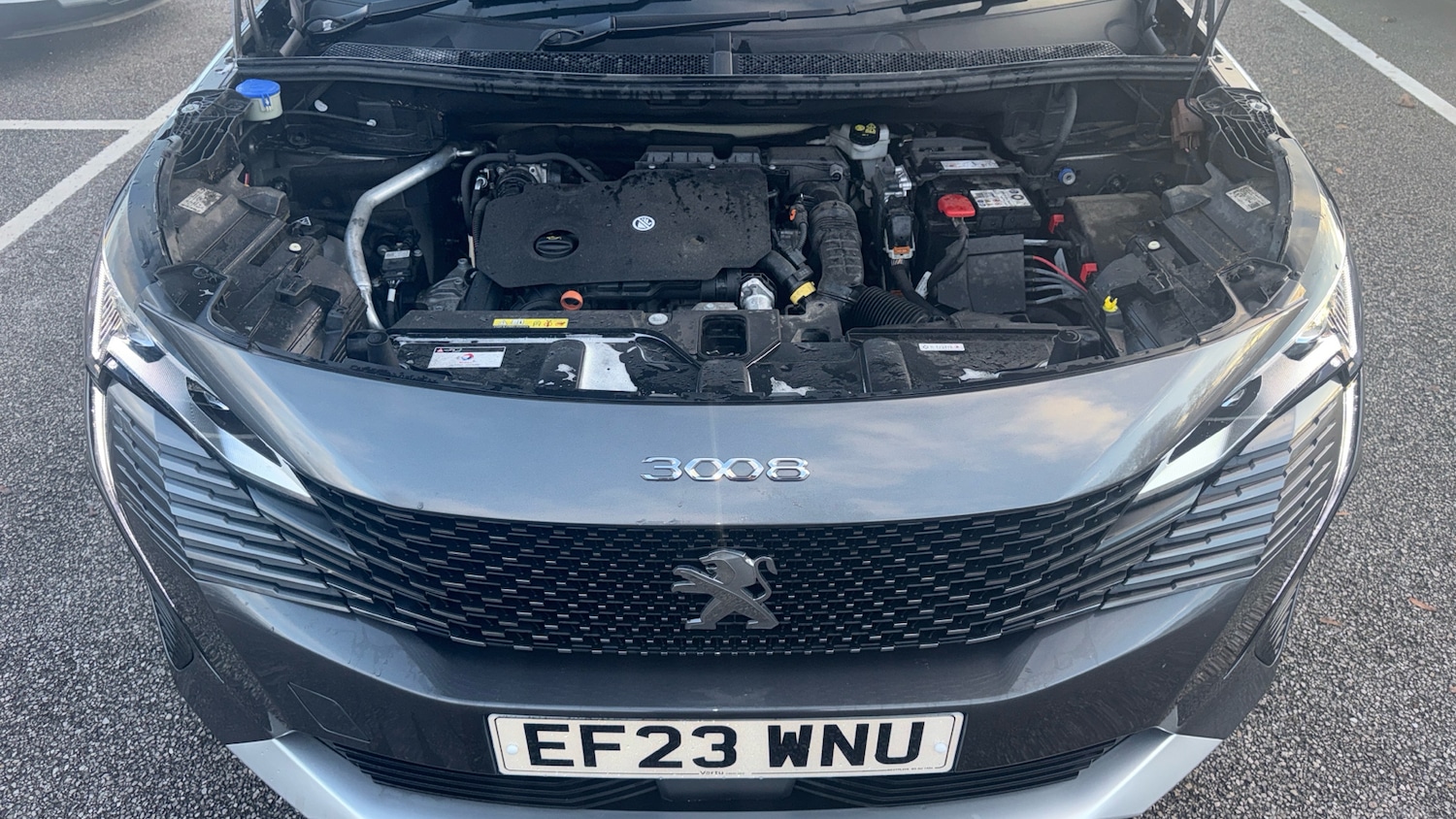 Used Peugeot 3008 2023 for sale - 76640832: Photo 8