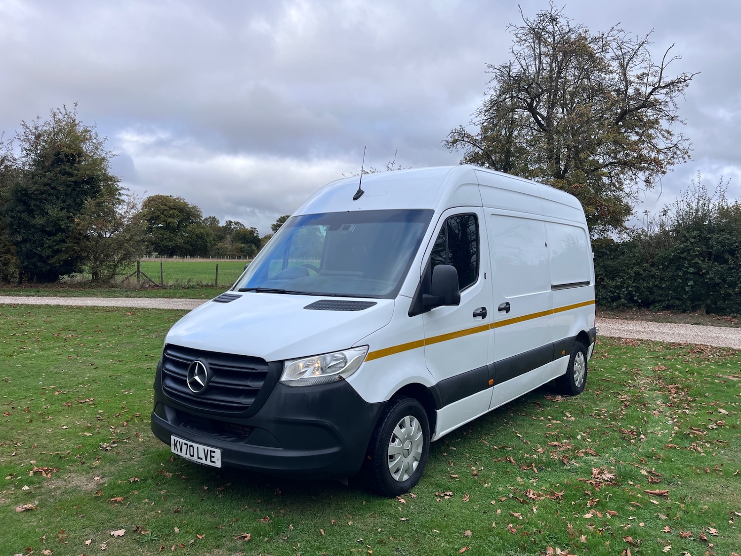 Used Mercedes-Benz Sprinter 2020 for sale - 76263352: Photo 12