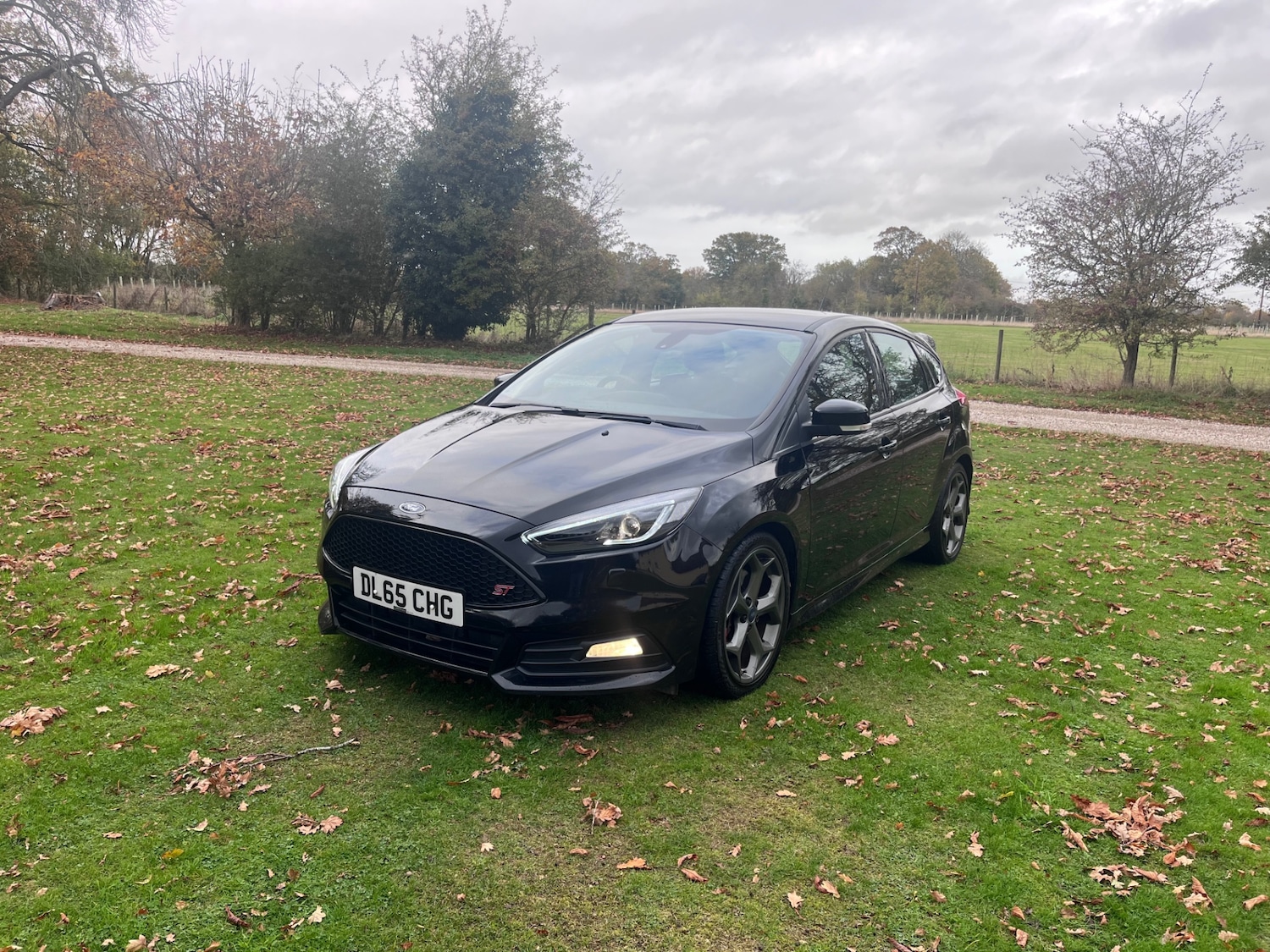 Used Ford Focus 2015 for sale - 76436424: Photo 14