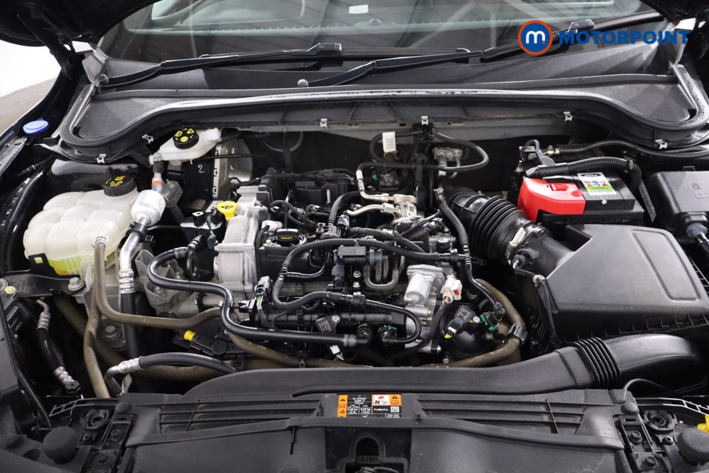 Used Ford Focus 2023 for sale - 78162914: Photo 41