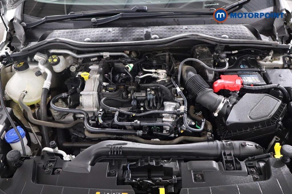 Used Ford Fiesta 2023 for sale - 77962644: Photo 42