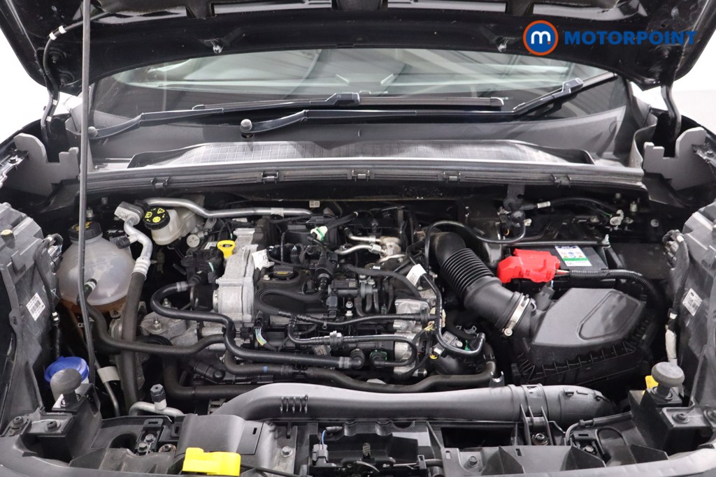 Used Ford Puma 2023 for sale - 77946500: Photo 41