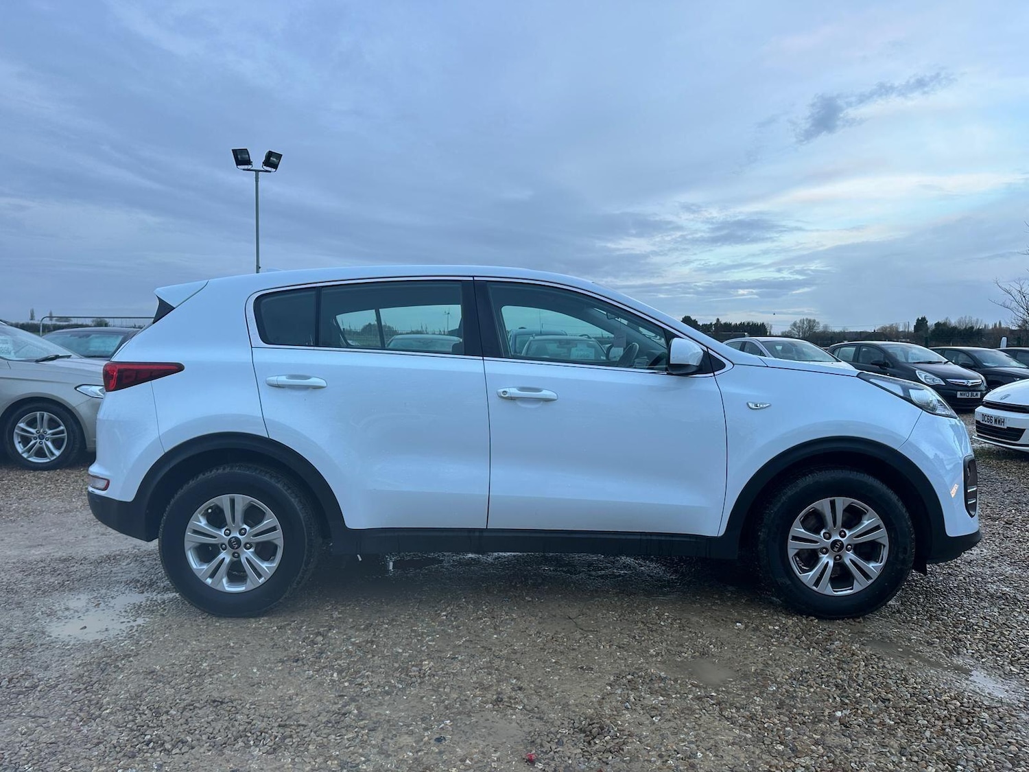 Used Kia Sportage 2017 for sale - 77497101: Photo 5
