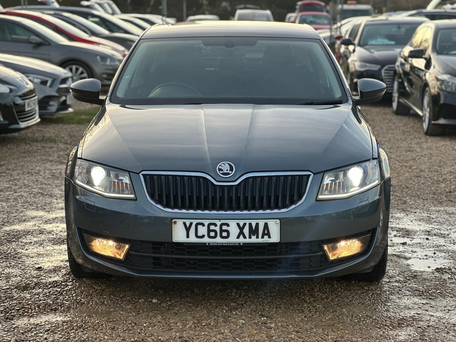 Used Skoda Octavia 2016 for sale - 76953253: Photo 30