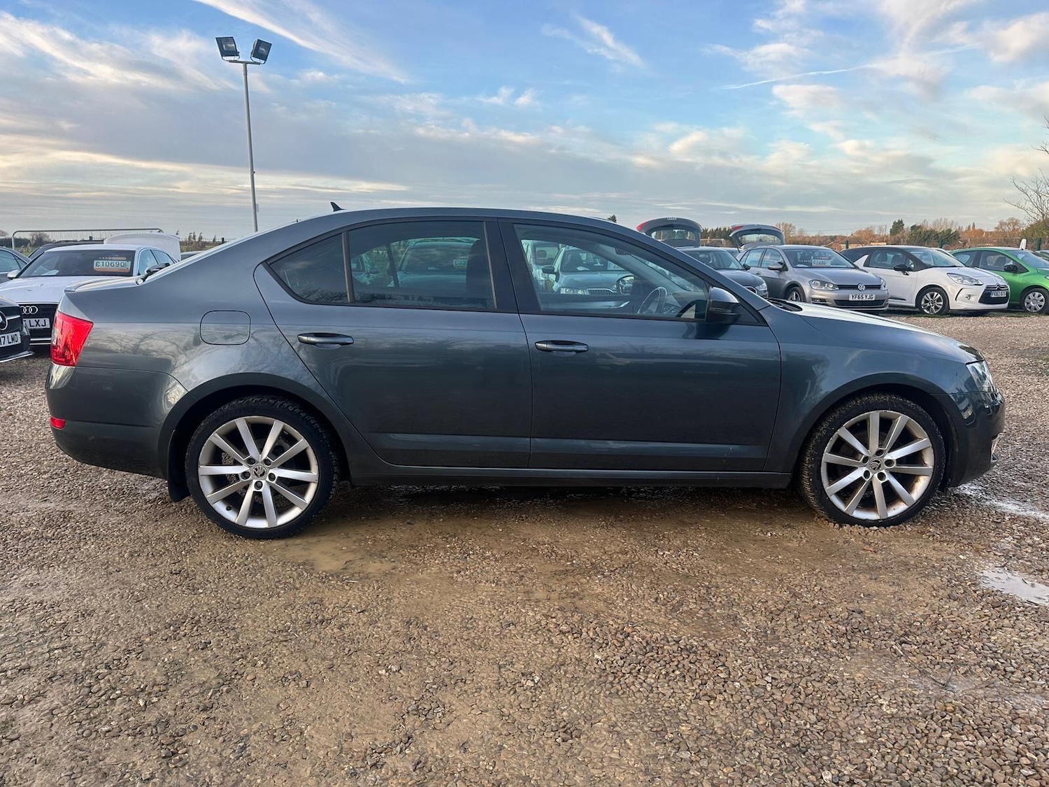 Used Skoda Octavia 2016 for sale - 76953253: Photo 5