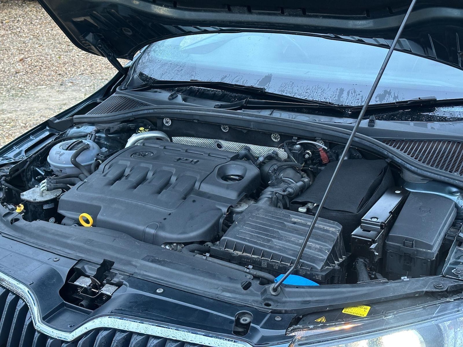 Used Skoda Octavia 2016 for sale - 77612383: Photo 43