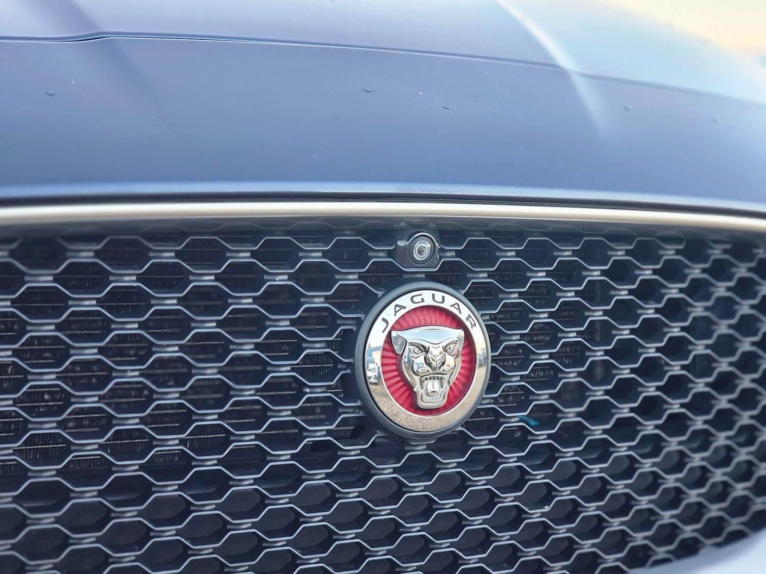 Used Jaguar XF 2017 for sale - 76765393: Photo 48