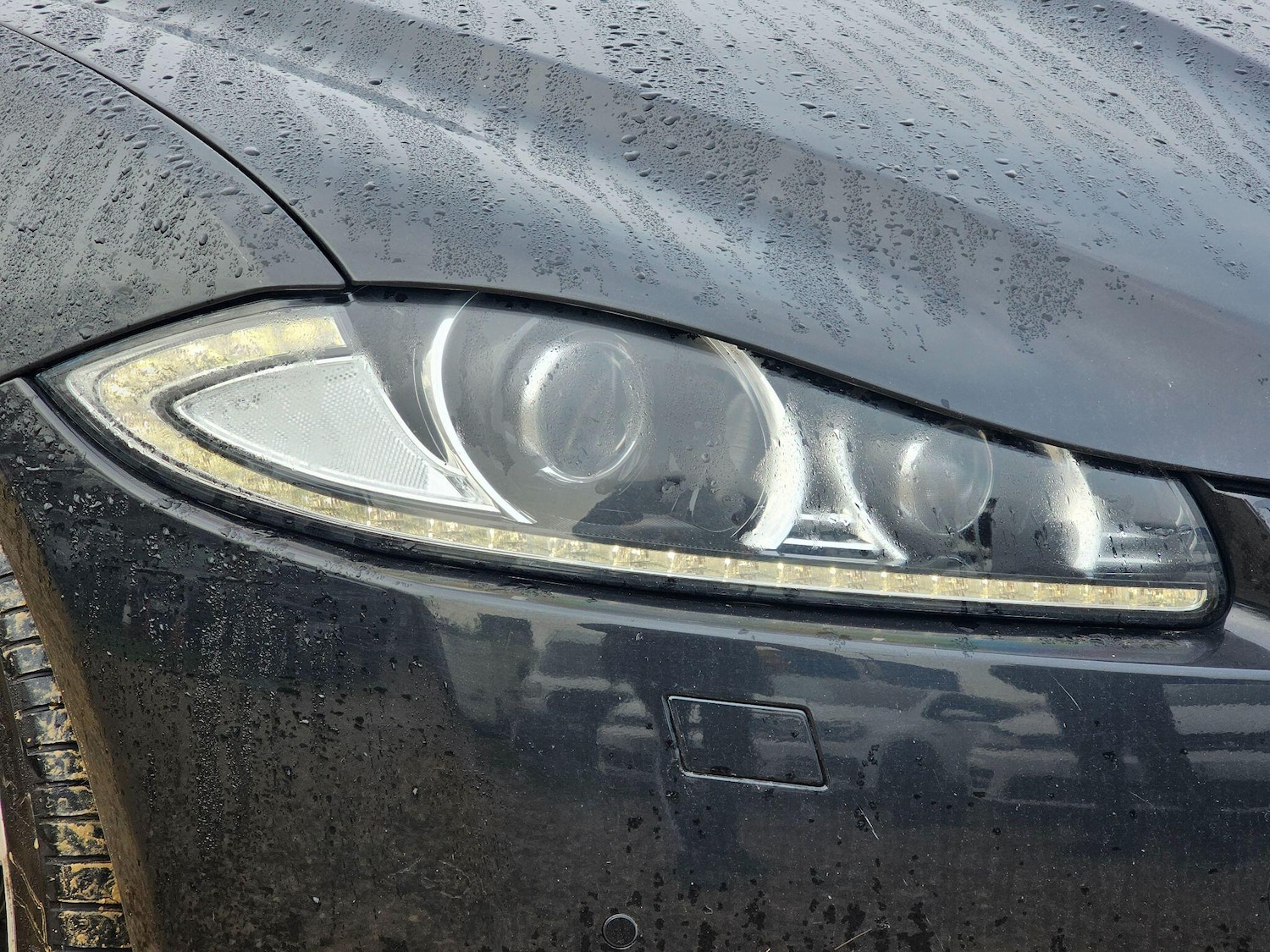 Used Jaguar XF 2015 for sale - 77978450: Photo 40