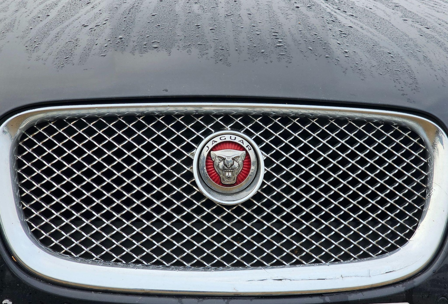 Used Jaguar XF 2015 for sale - 77978450: Photo 41