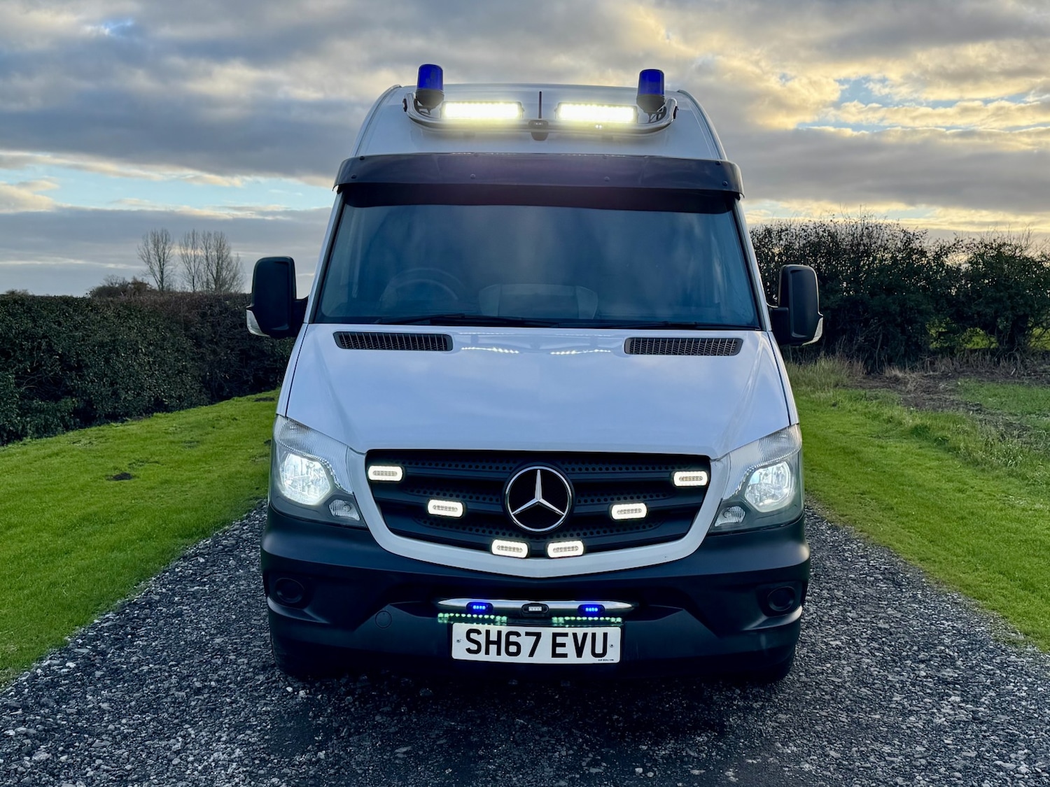 Used Mercedes-Benz Sprinter 2017 for sale - 76911109: Photo 5