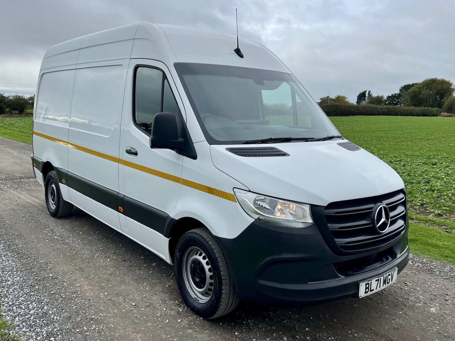 Used Mercedes-Benz Sprinter 2022 for sale - 76334823: Photo 1