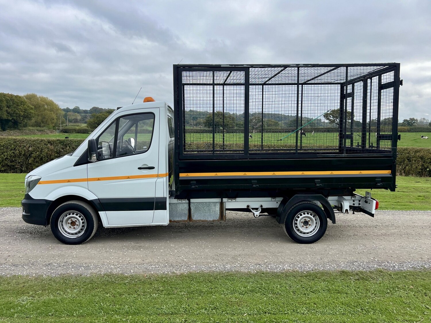 Used Mercedes-Benz Sprinter 2017 for sale - 76334847: Photo 6