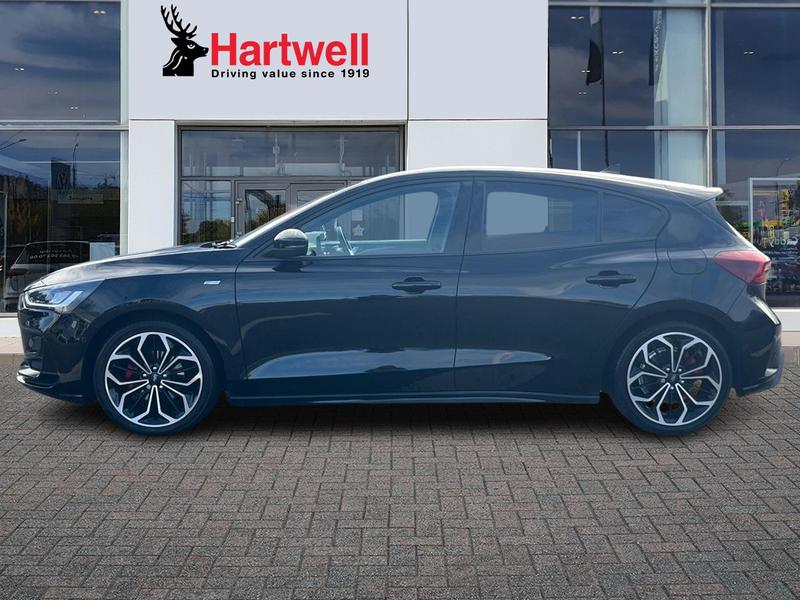 Used Ford Focus 2023 for sale - 77354405: Photo 7