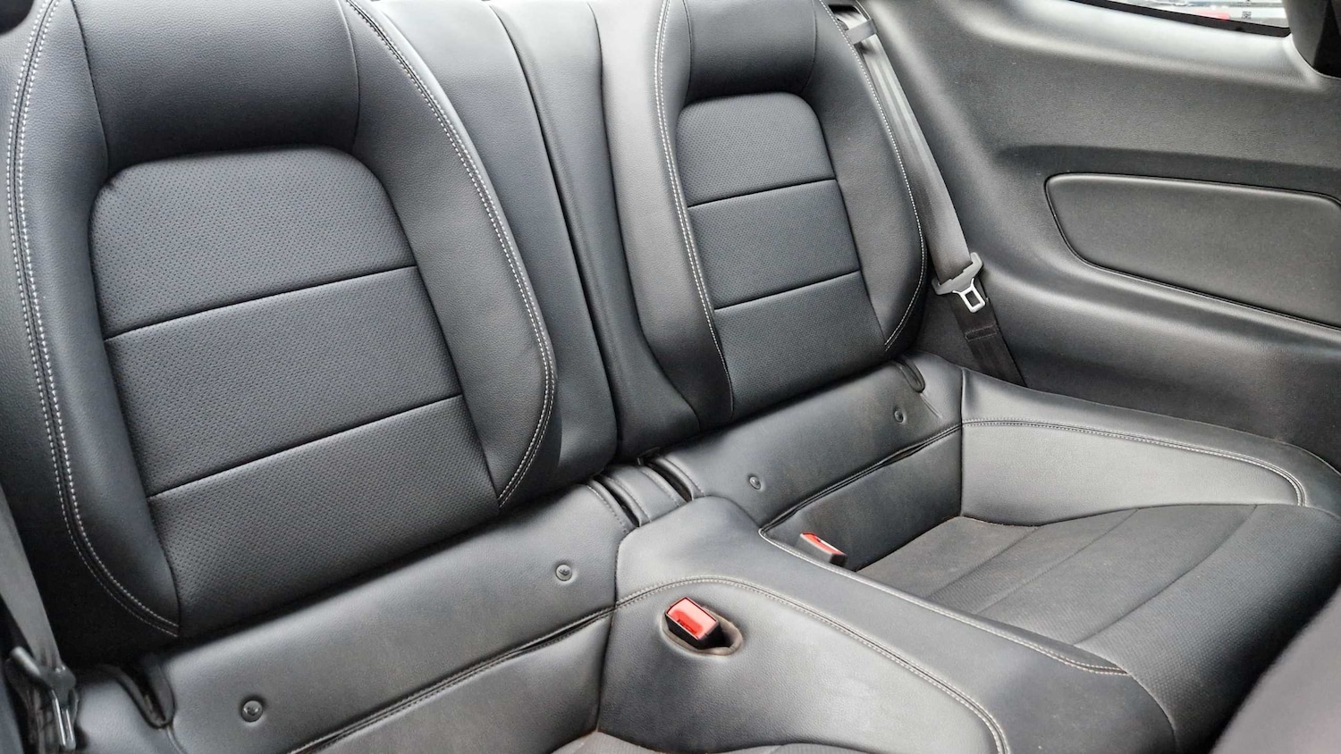 Used Ford Mustang 2019 for sale - 77082951: Photo 13