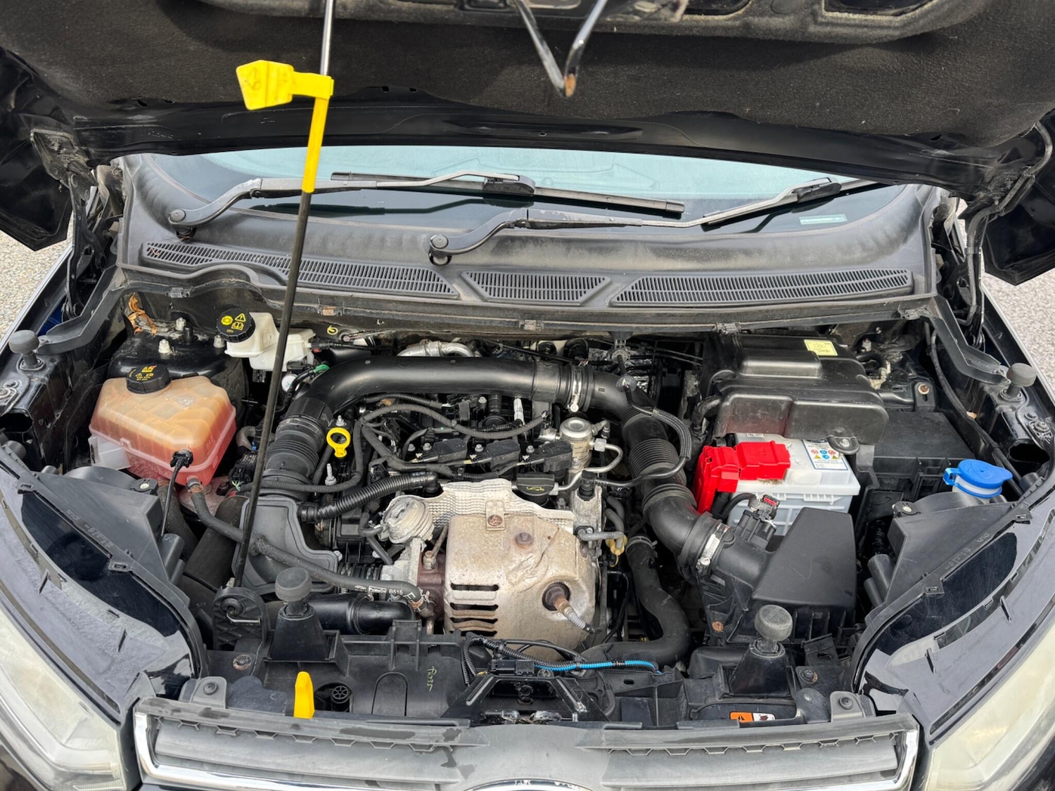 Used Ford Ecosport for sale - 76537999: Photo 46