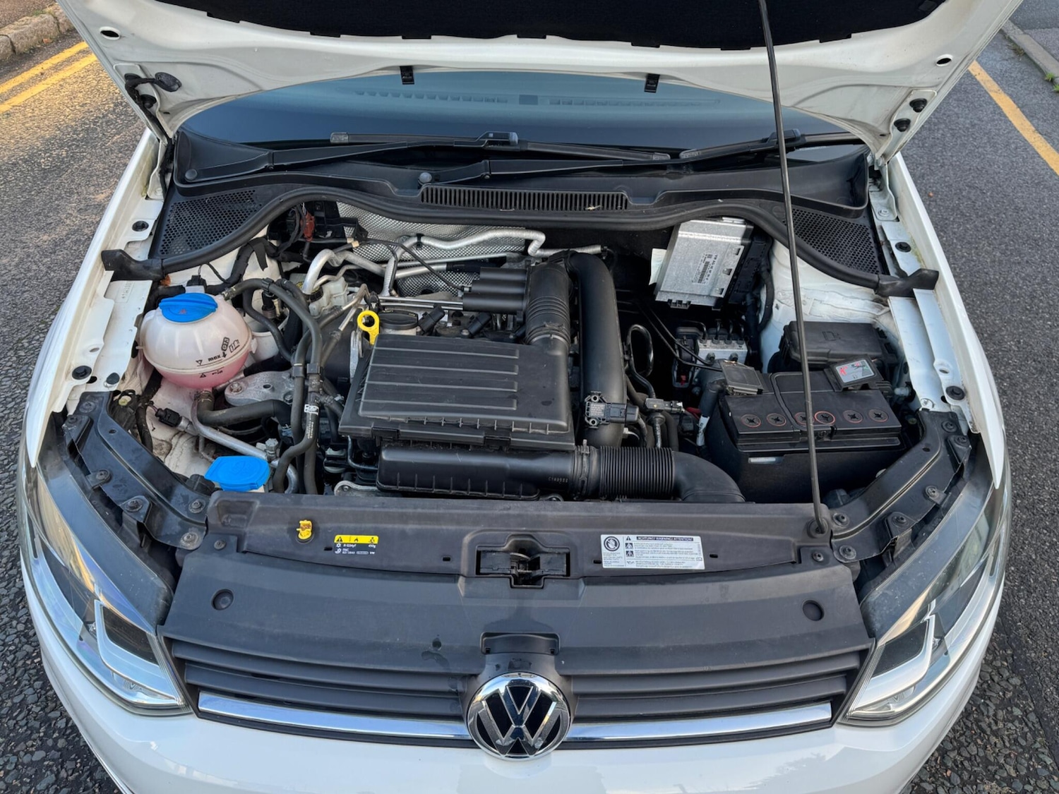 Used Volkswagen Polo 2016 for sale - 76899057: Photo 51