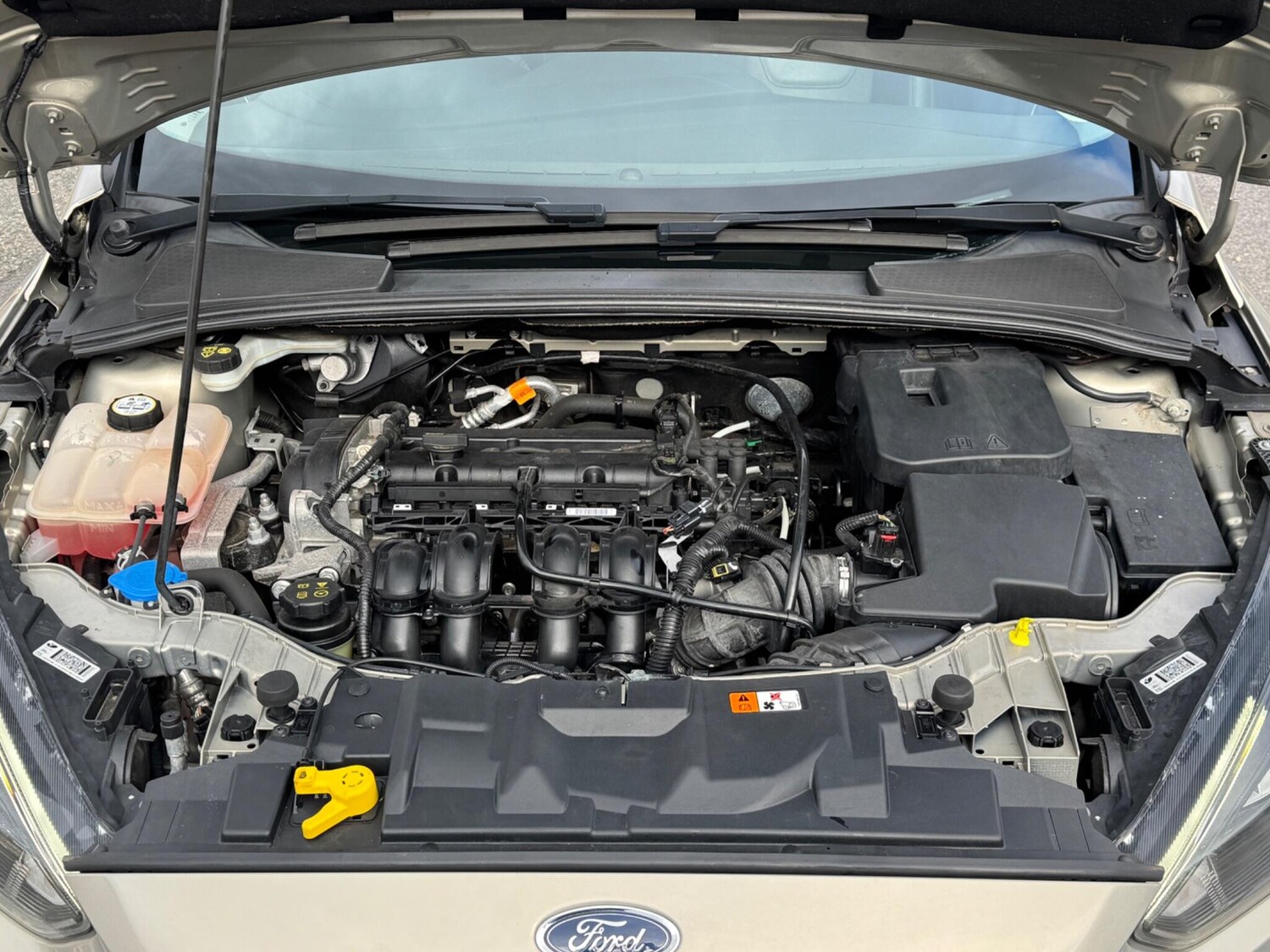 Used Ford Focus 2015 for sale - 76269977: Photo 50