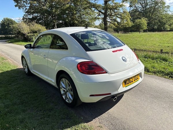 Used Volkswagen Beetle 2025 for sale - 76040044: Photo 12
