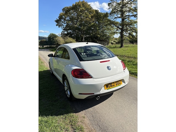 Used Volkswagen Beetle 2025 for sale - 76040044: Photo 13