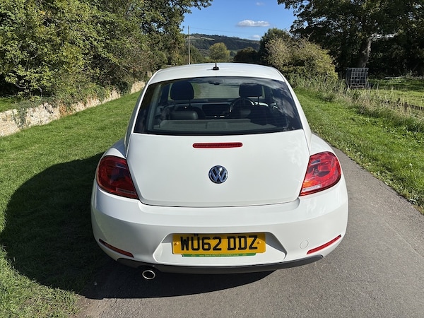 Used Volkswagen Beetle 2025 for sale - 76040044: Photo 14