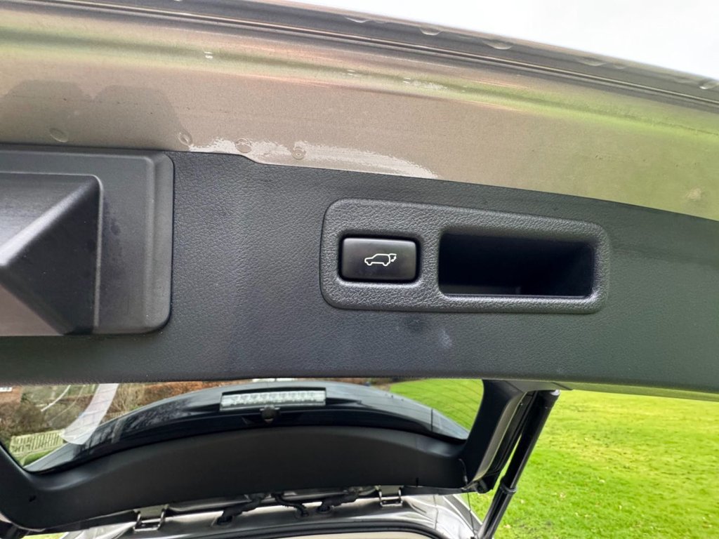 Used Lexus NX 2017 for sale - 76868148: Photo 16