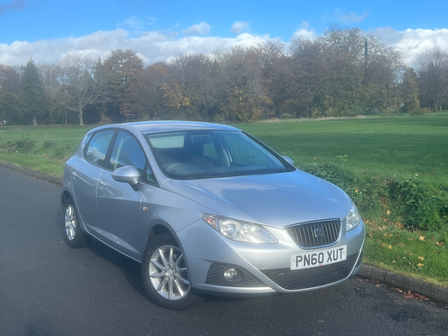 Used SEAT Ibiza 2010 for sale - 76931473: Photo 1