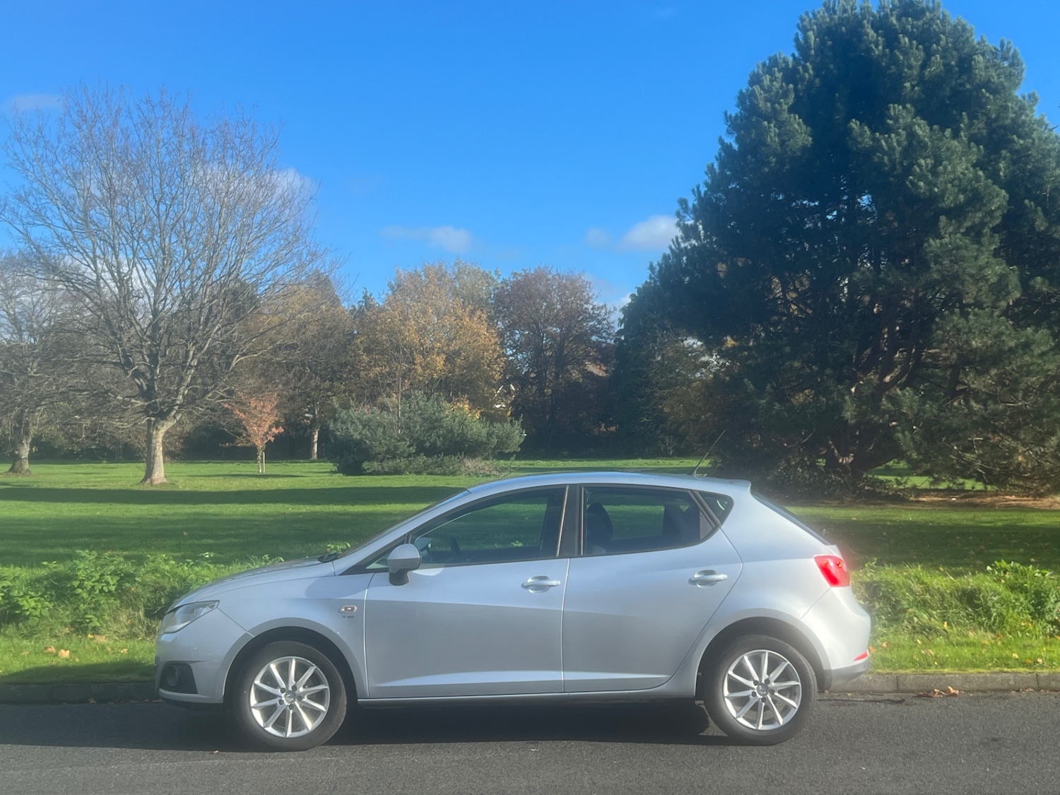 Used SEAT Ibiza 2010 for sale - 76931473: Photo 10