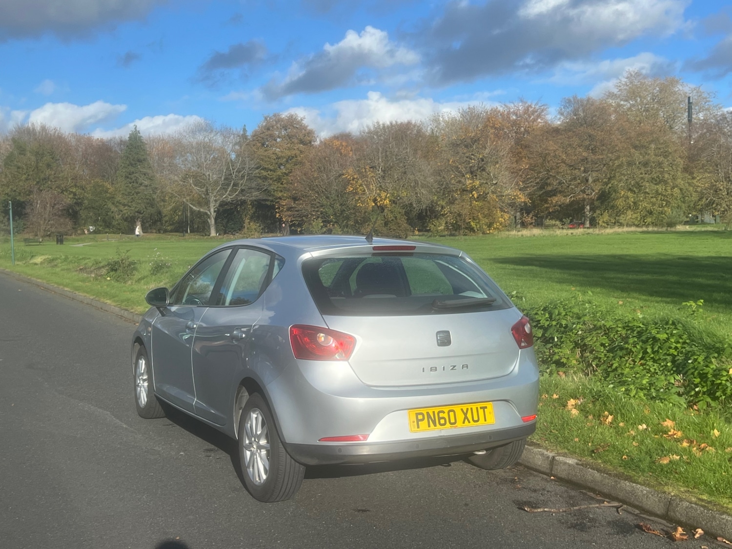 Used SEAT Ibiza 2010 for sale - 76931473: Photo 14