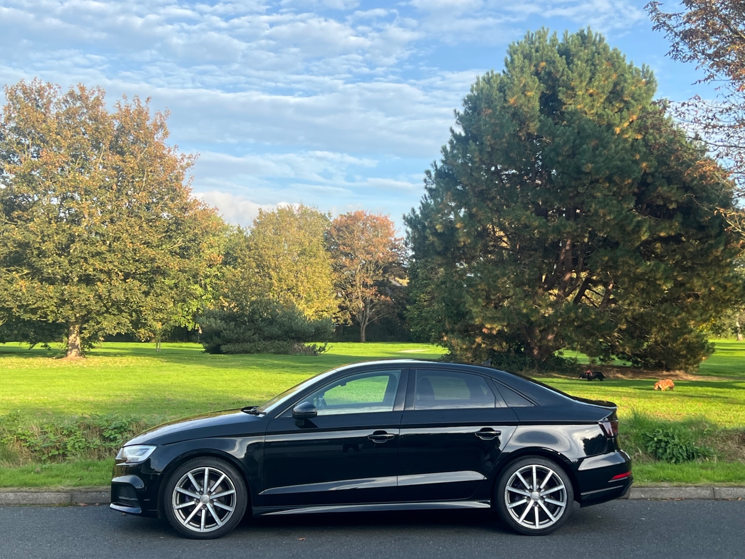 Used Audi A3 2017 for sale - 76490845: Photo 11