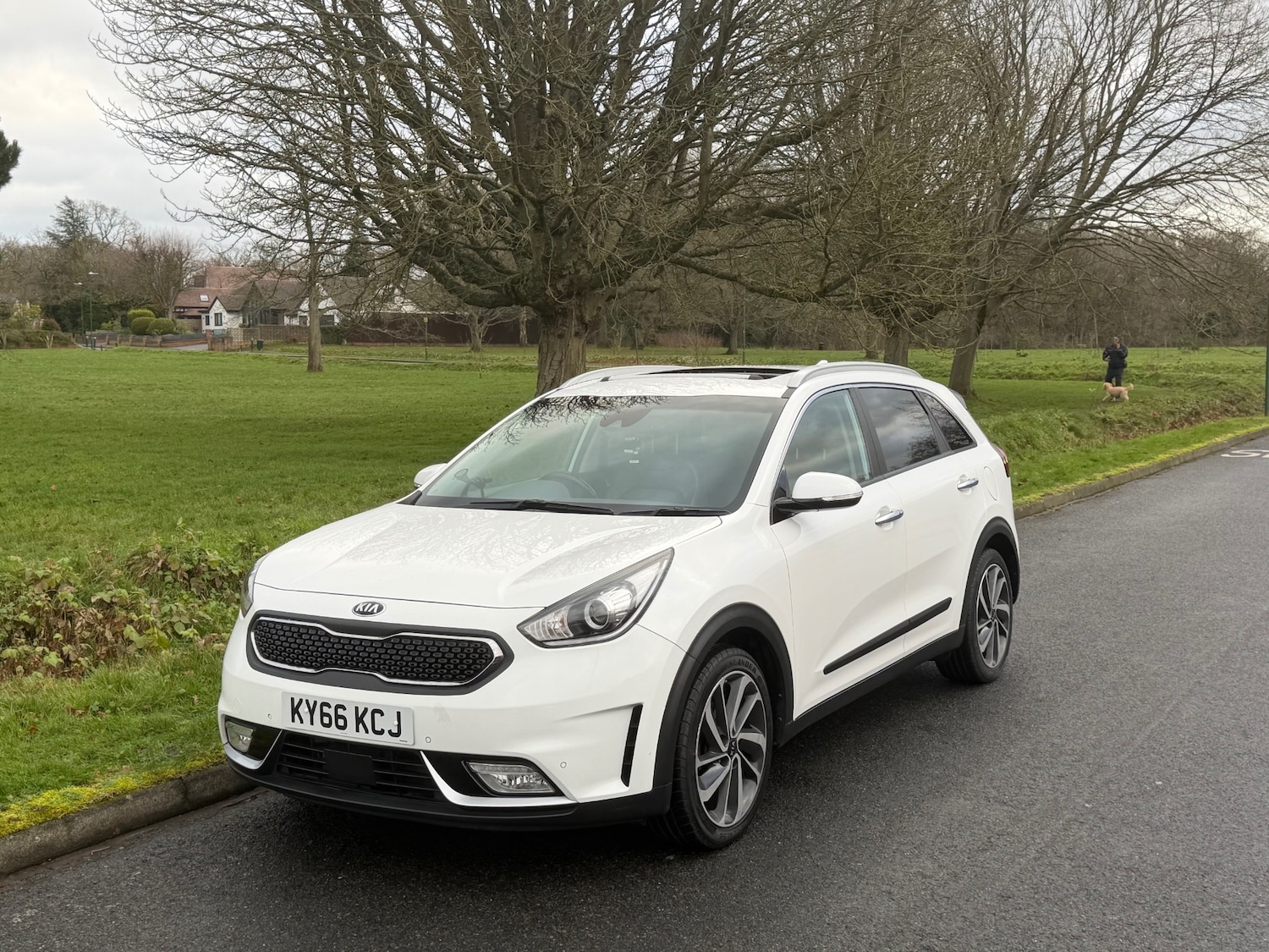 Used Kia Niro 2016 for sale - 77130555: Photo 9