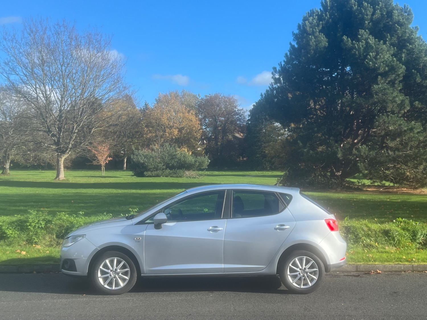 Used SEAT Ibiza 2010 for sale - 76444679: Photo 12