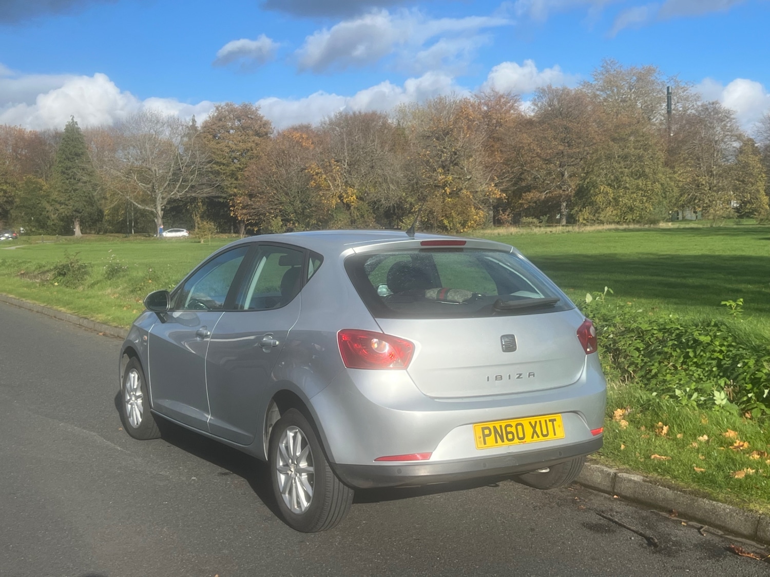 Used SEAT Ibiza 2010 for sale - 76444679: Photo 13