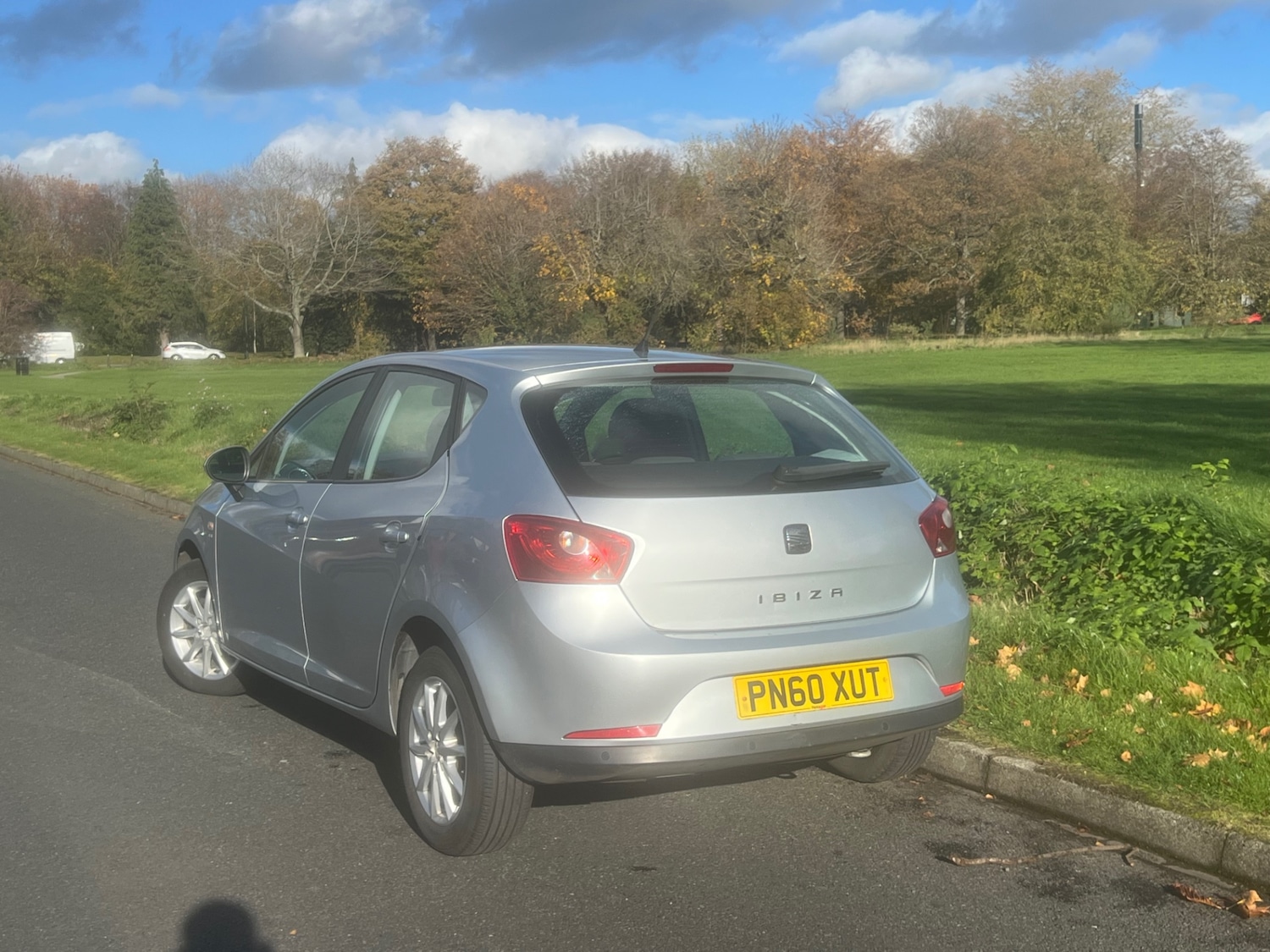 Used SEAT Ibiza 2010 for sale - 76444679: Photo 15