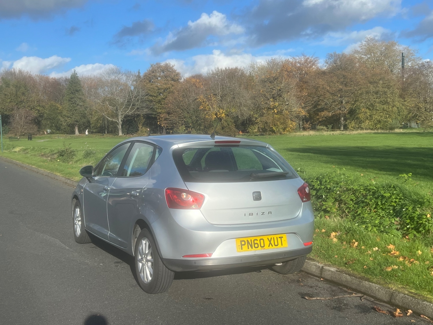 Used SEAT Ibiza 2010 for sale - 76444679: Photo 16