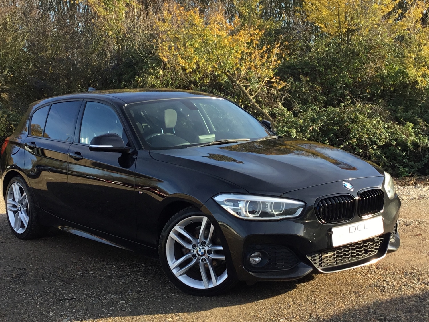 Used BMW 1 Series 2016 for sale - 76568161: Photo 3
