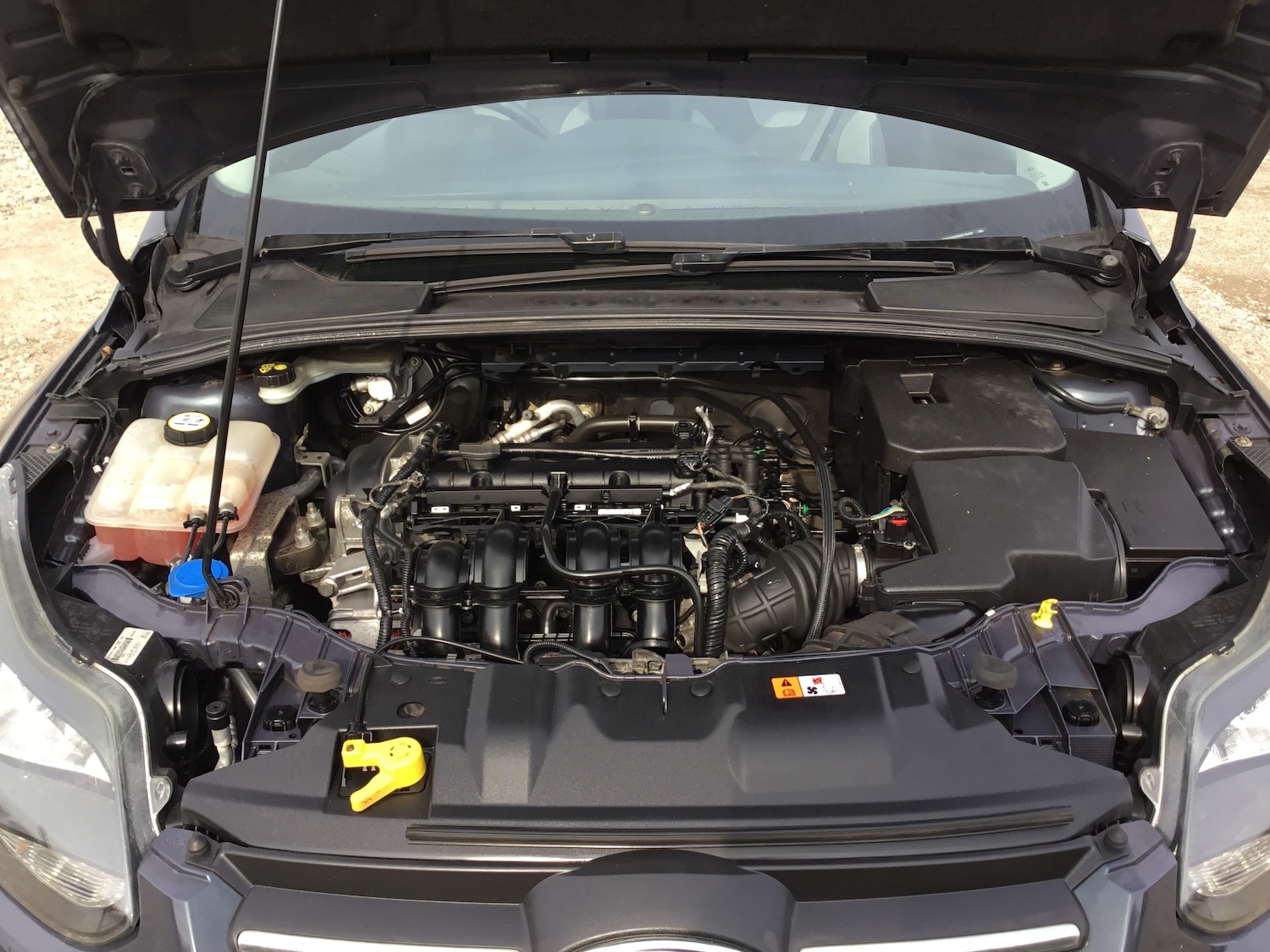 Used Ford Focus 2011 for sale - 78012971: Photo 21