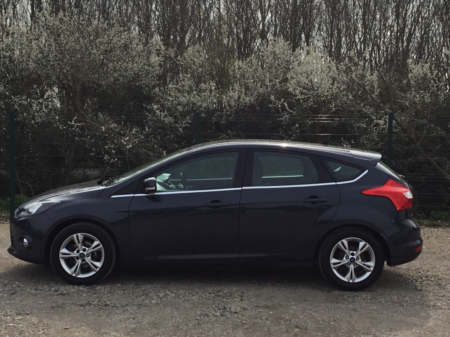 Used Ford Focus 2011 for sale - 78012971: Photo 8