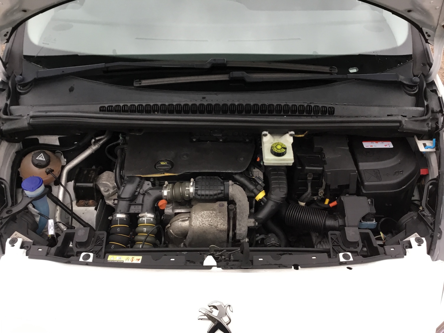 Used Peugeot 5008 2015 for sale - 77245324: Photo 22