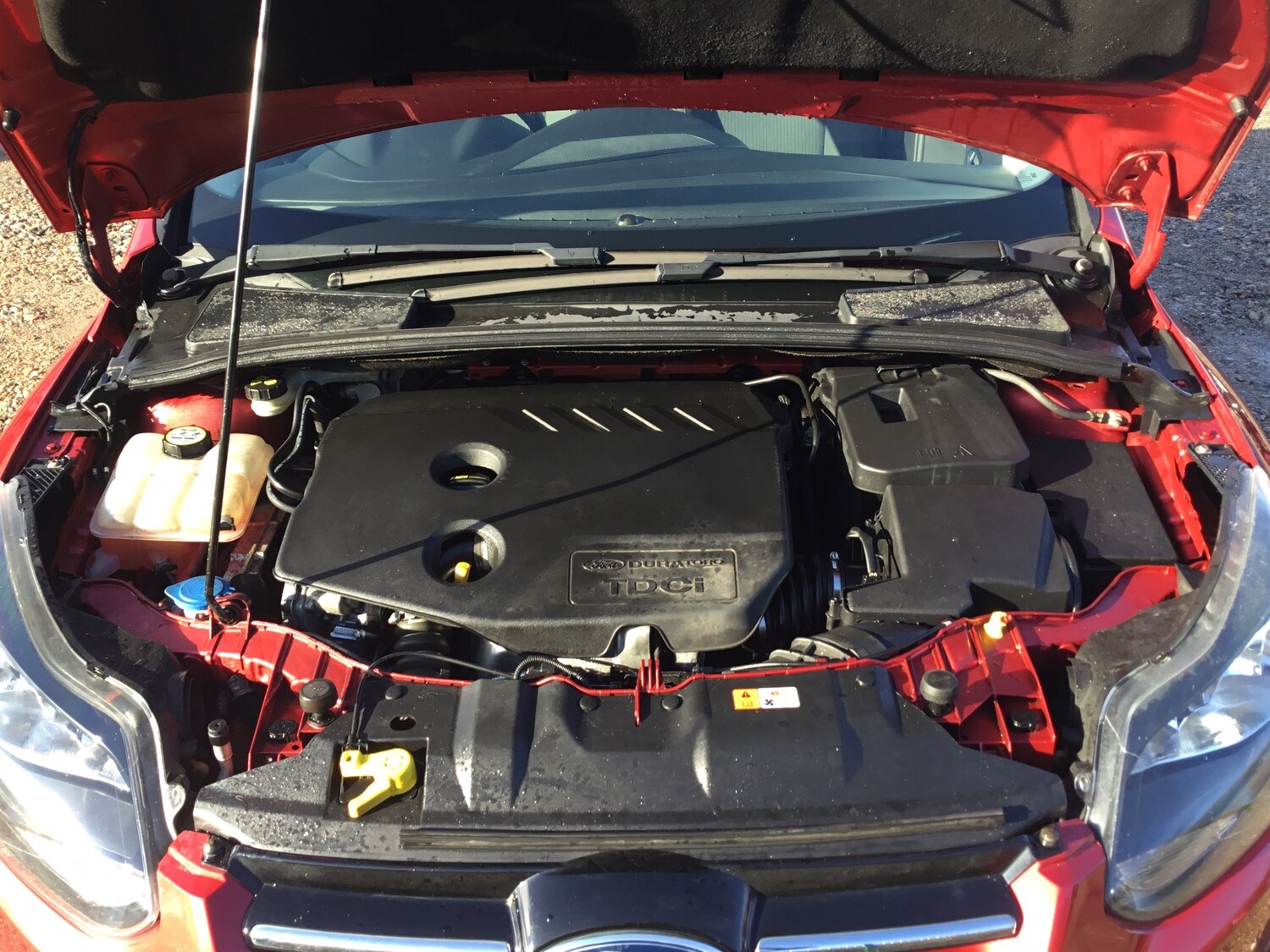 Used Ford Focus 2014 for sale - 77435412: Photo 22