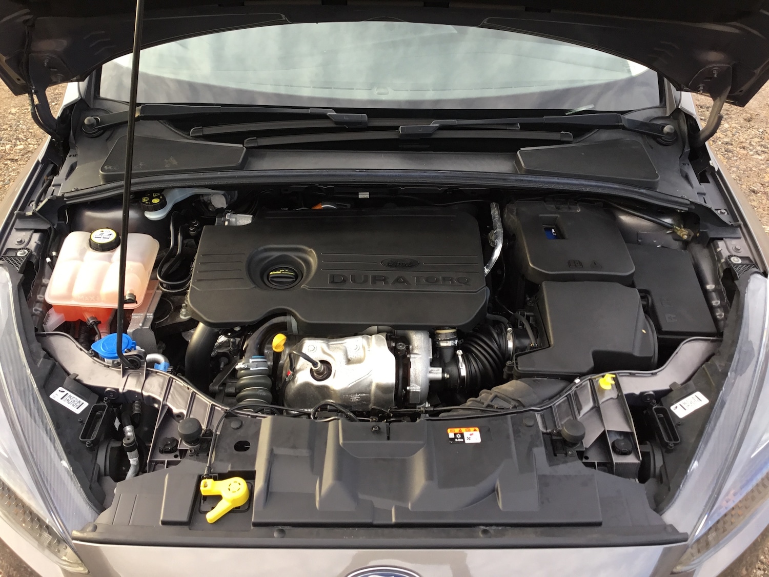 Used Ford Focus 2016 for sale - 76682314: Photo 23