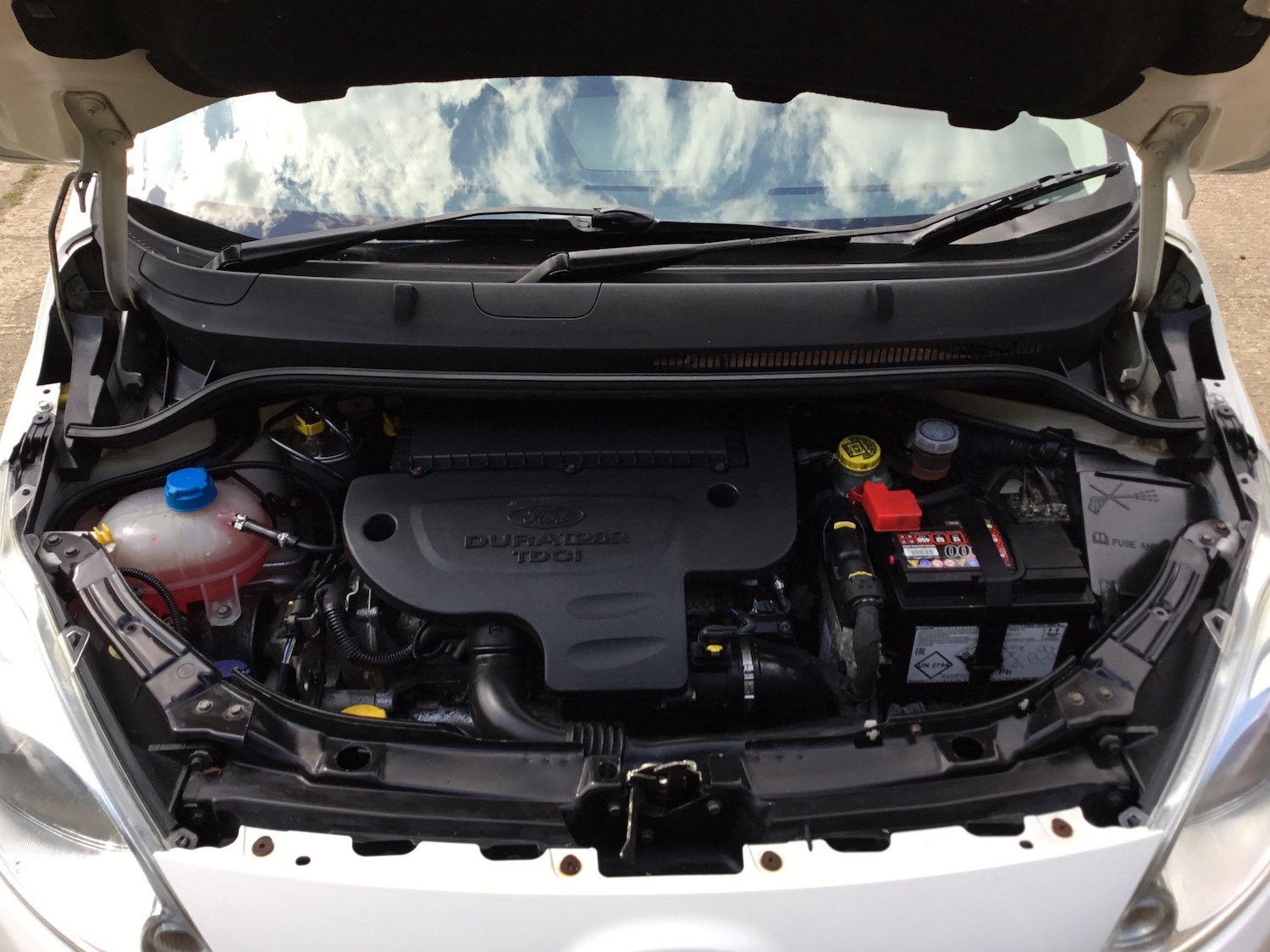 Vehicle 24